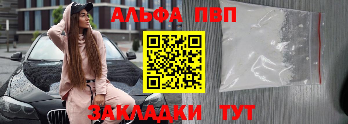A-PVP СК КРИС Алейск
