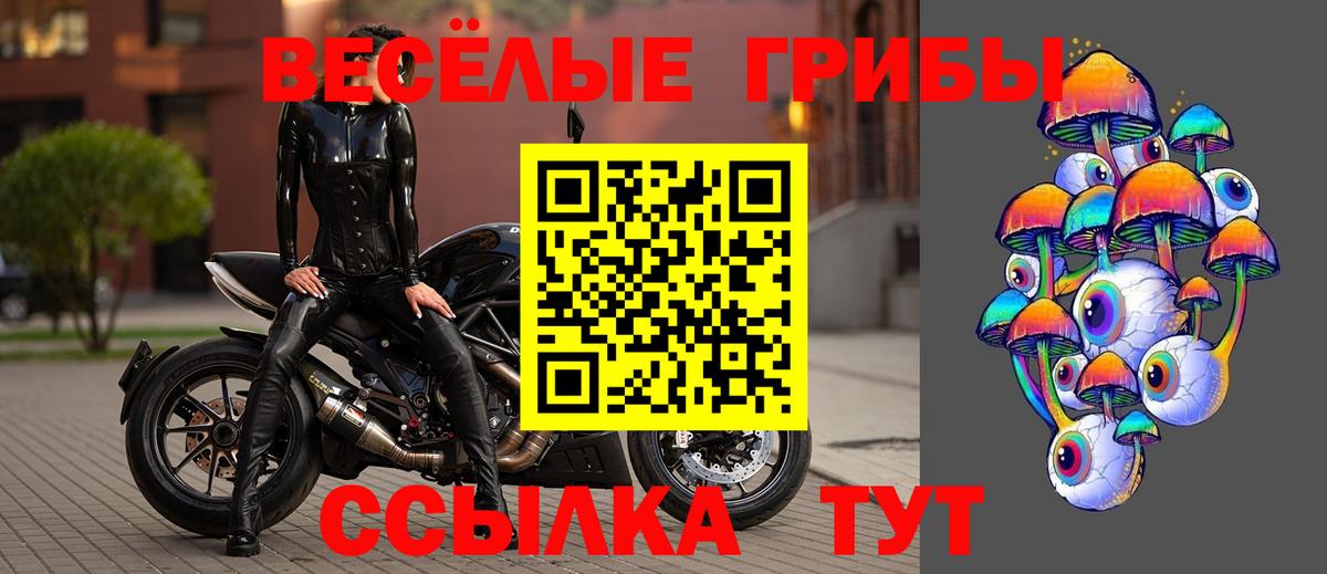 Псилоцибиновые грибы GOLDEN TEACHER  Вход с VPN  где найти   Алейск 