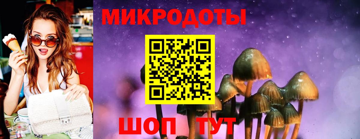 Псилоцибиновые грибы мухоморы Алейск